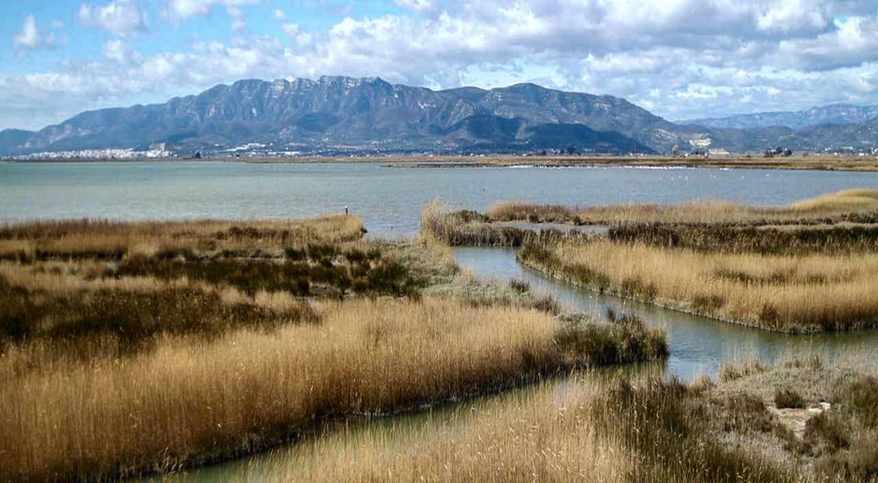 Mi Apartamento En El Delta Del Ebro+ Deltebre Εξωτερικό φωτογραφία