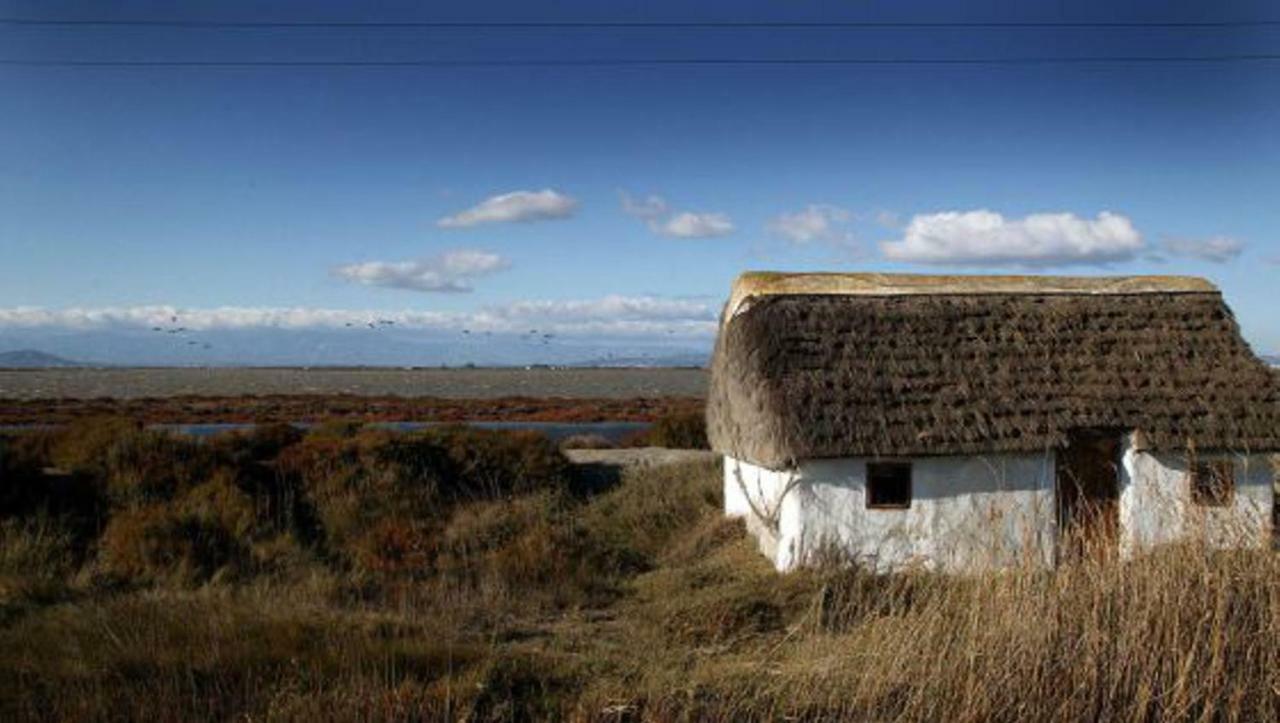 Mi Apartamento En El Delta Del Ebro+ Deltebre Εξωτερικό φωτογραφία