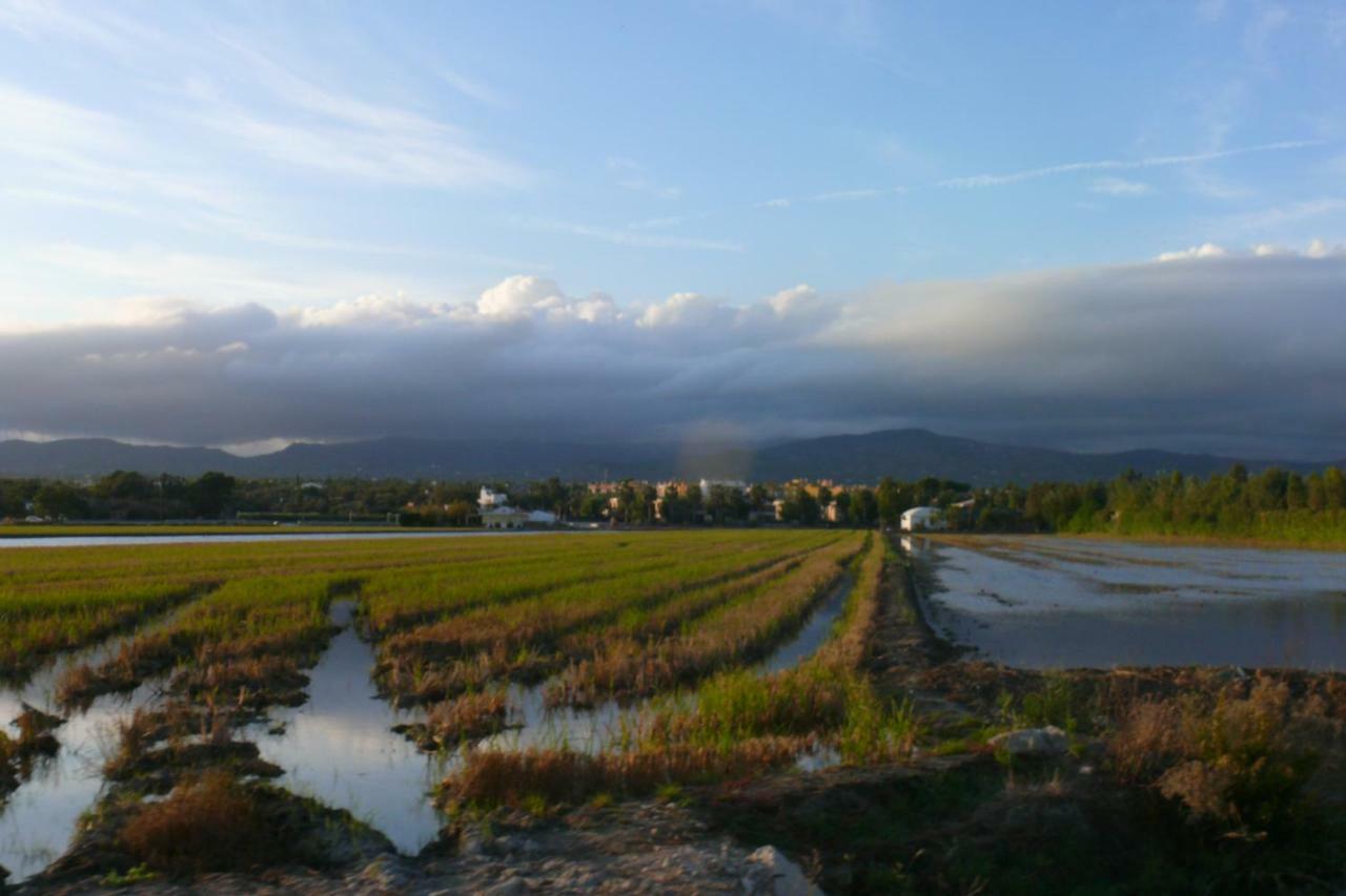 Mi Apartamento En El Delta Del Ebro+ Deltebre Εξωτερικό φωτογραφία
